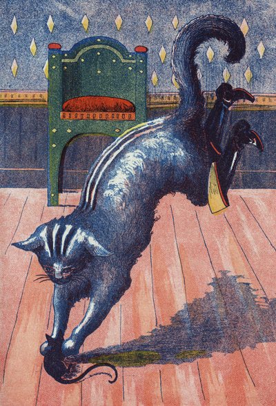 Le chat se jette sur l