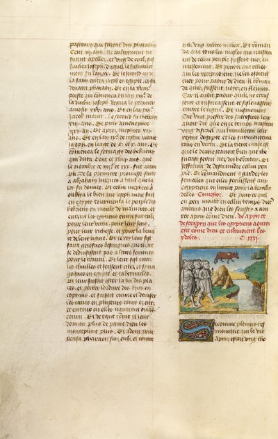 Les Égyptiens vénèrent l
