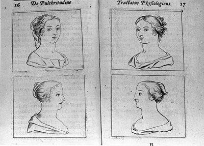 Les différents profils féminins. Page tirée de « Tractatus physiologicus de pulchritudine » traitant d