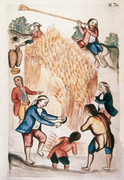La récolte, du livre "Trujillo del Peru" ou "Codex Martínez Compañón", par Baltazar Martinez Compañón y Bujanda, évêque de Trujillo (1782-1785) - Unknown artist