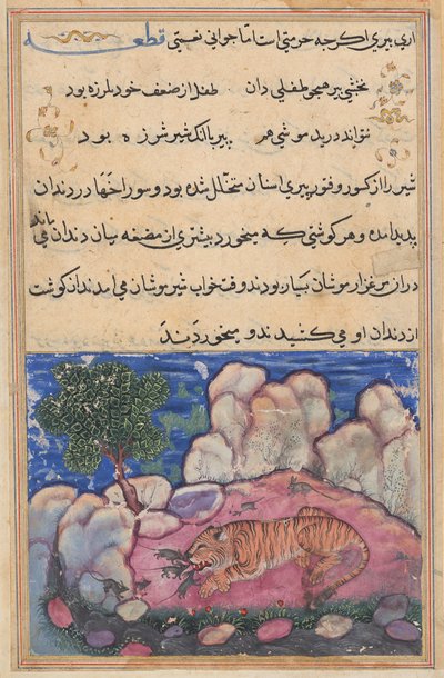 Le lion dérangé par des souris qui mangent la nourriture piégée dans ses dents vieillissantes, d