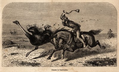 La chasse à l
