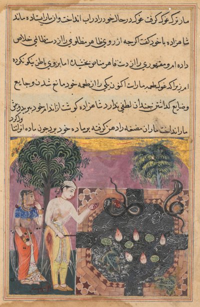 Le prince, ayant privé le serpent de sa nourriture naturelle, une grenouille, le nourrit avec un morceau de sa propre chair, des Contes d