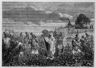 Les vignes arrachées en Gaule, par ordre de l
