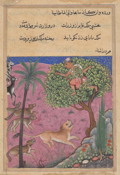 Le loup et le chacal, servant de vizirs, incitent le lion qui poursuit le Brahmane jusqu