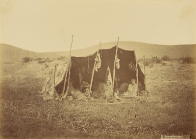 Auvent Patagones. - Unknown artist