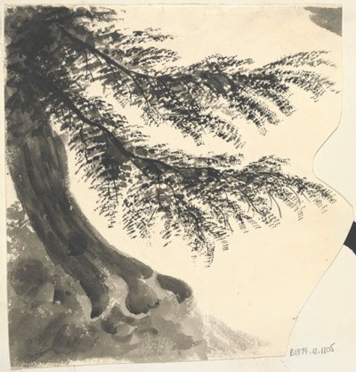 Arbre - Unknown artist