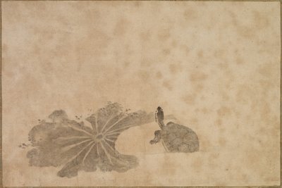 Tortue dans un étang de lotus - Unknown artist