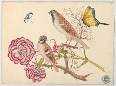 Deux oiseaux bruns avec des œillets et des papillons - Unknown artist