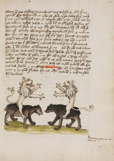 Deux lions assis sur le dos de deux ours - Unknown artist