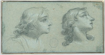 Deux vues de la tête d
