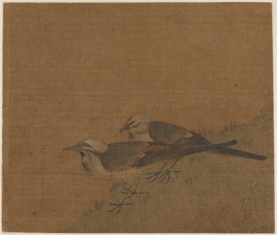 Deux bergeronnettes grises - Unknown artist