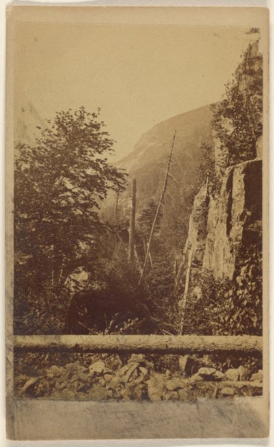 [Vue d