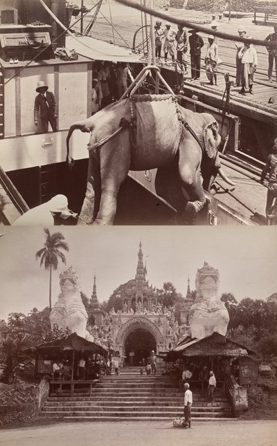 Sans titre : (éléphant chargé sur un bateau, recto) ; (marches et bâtiment, verso) - Unknown artist