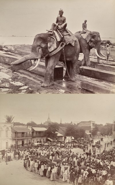 Sans titre : (éléphants déplaçant des blocs de bois, recto) ; (procession ou foule, verso) - Unknown artist