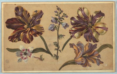 Divers floraux - Unknown artist