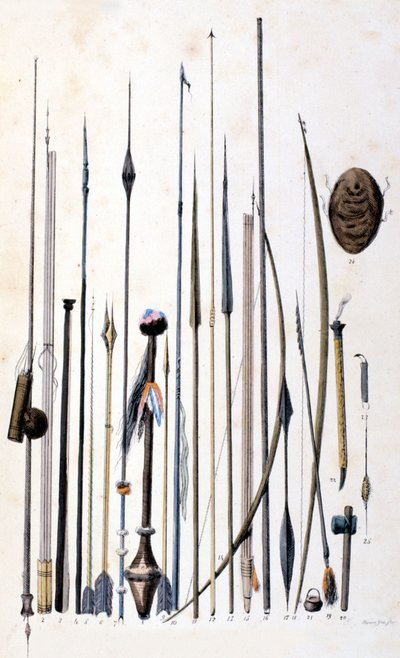 Armes des Indiens Jivaros - Unknown artist