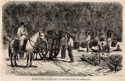 Récolte du café, les hommes ramassent et transportent les lourds paniers remplis de fèves de café, tandis que les enfants nettoient la pulpe qui entoure les fèves de café. Gravure pour illustrer le voyage au Brésil, récit par M. et Mme Agassiz, en 1865-186 - Unknown artist