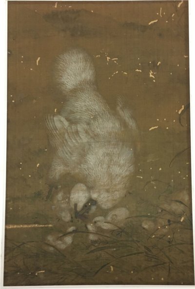 Poule blanche et poussins - Unknown artist