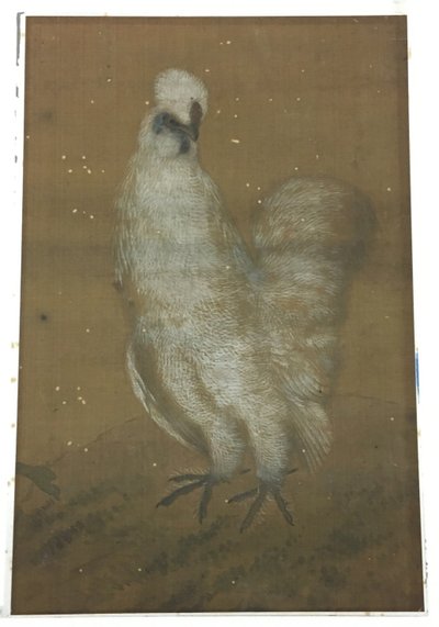 Coq blanc - Unknown artist