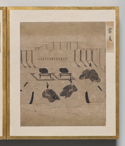 Œillet sauvage de l