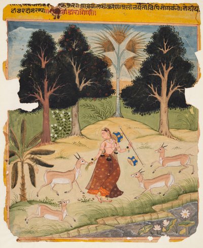 Femme nourrissant des cerfs : Todi Ragini, d