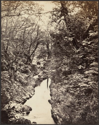 [Paysage boisé avec ruisseau] - Unknown artist