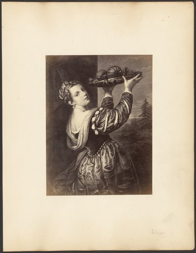 [Travail réalisé d