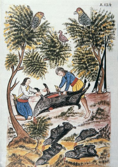 Jeunes Indiens motilones abattant un sanglier, du livre "Trujillo del Peru" ou "Códice Martínez Compañón", par Baltazar Martinez Compañón y Bujanda, évêque de Trujillo (1782-1785) - Unknown artist