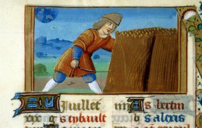Zodiaque Lion et Moisson - Miniature du Moyen Âge (ref. 137, 049r) : Demande d
