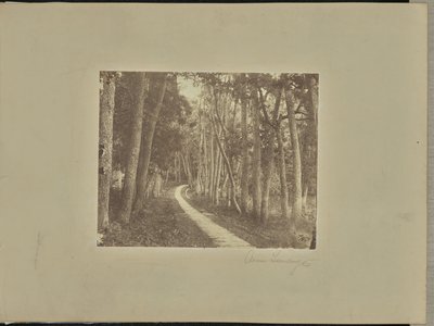 Avenue Tiendong - Unknown artist/maker