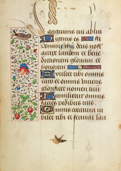 Page de texte décorée - Unknown artist/maker