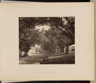 Hôtel Oriental, Galle, Ceylan - Unknown artist/maker