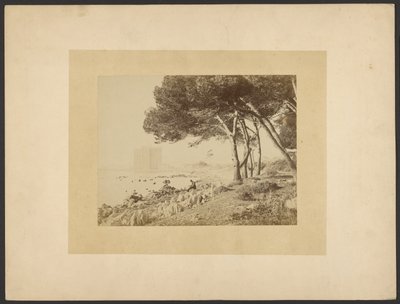 [Vue de l