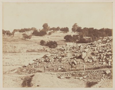 Camp de l
