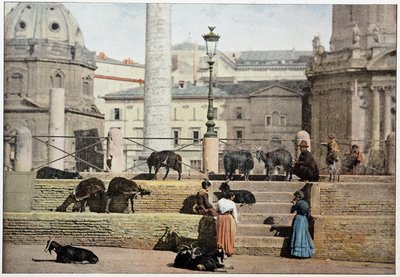Rome antique : vue du Forum de Rome. Italie, fin du 19ème siècle - Unknown photographer