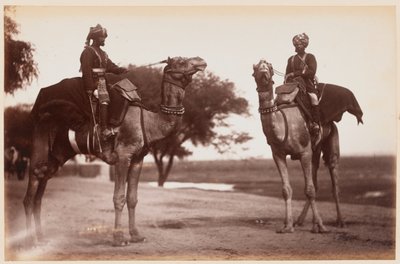 Camel Sowars au camp d