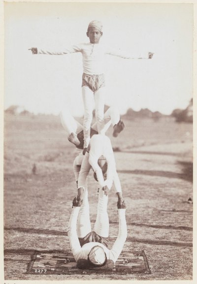 Gymnastique au camp d