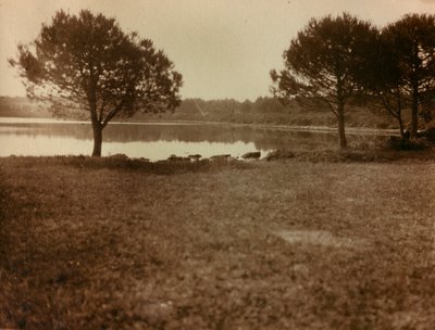 Paysage dans les îles Brijuni - Unknown photographer