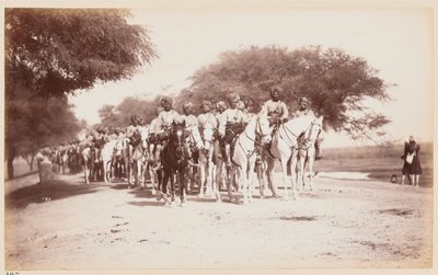 Contingent de cavalerie indigène de Nabha au camp d