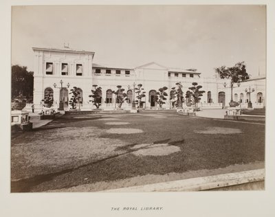 Photographie dans un album photo - Unknown photographer