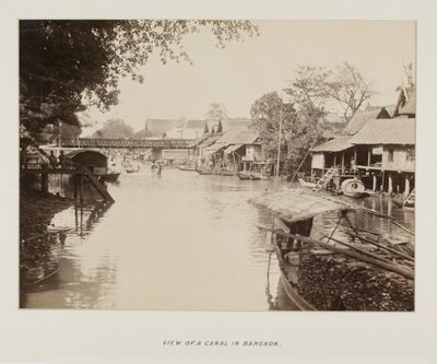 Photographie dans un album photo - Unknown photographer