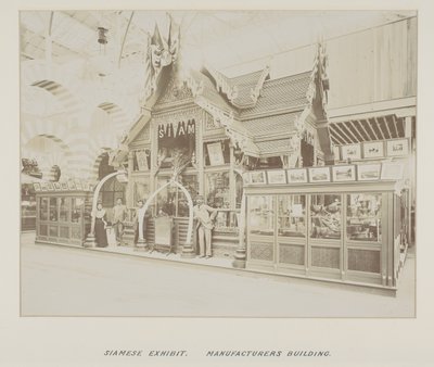 Photographie dans un album photo - Unknown photographer