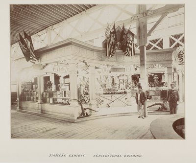 Photographie dans un album photo - Unknown photographer