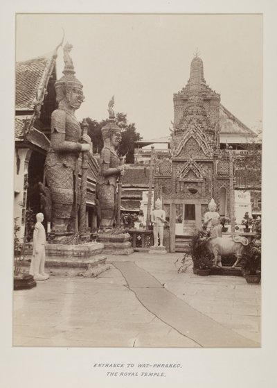 Photographie dans un album photo - Unknown photographer