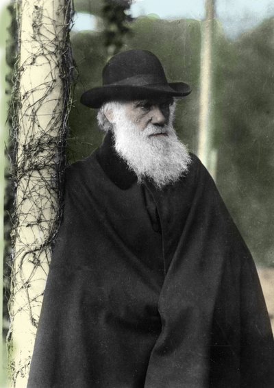 Portrait photographique de Charles Darwin (1809-1882), naturaliste anglais en 1881 - Unknown photographer