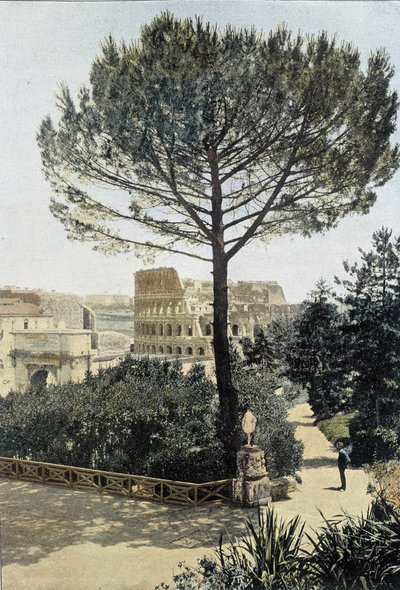 Rome, le Colisée vu du Palatin - Unknown photographer