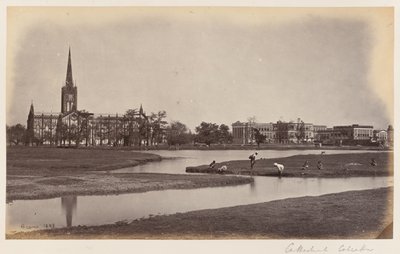 La cathédrale et le palais de l