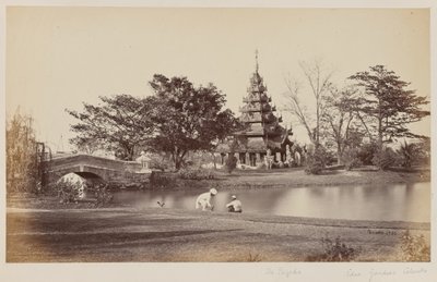 Vue des jardins d