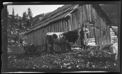 Vorderbachalm (pâturage de montagne) avec chalet alpin près de Goessl au lac Grundl - Unknown photographer